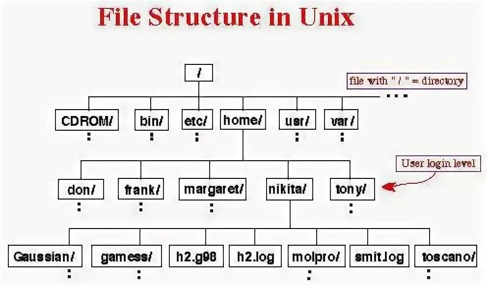 File structure