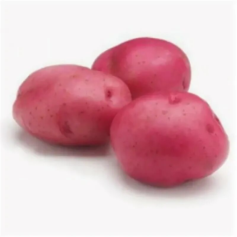 File:Pommes de terre (CHARLOTTE)-cliche Jean Weber (23594803261).jpg - Wikimedia