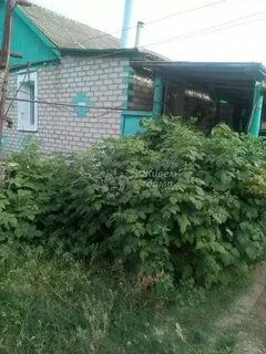 Погода волгоградская область перелазовский