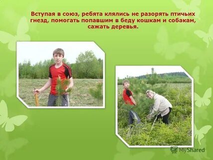 Ребята союз
