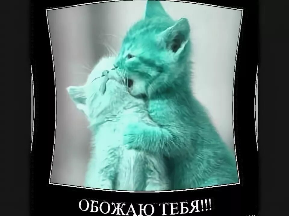 я тебя обожаю любимая. я тебя очень люблю картинки. песня я так обожаю. песня я так обожаю. ятебчлюблю осень сильно.