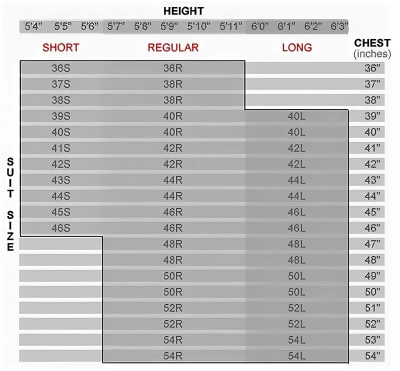 Размер Regular. Chest 42 Regular. Chest 36 Regular какой размер. Chest 46 Regular какой размер.