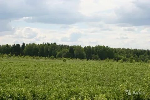 1500 соток