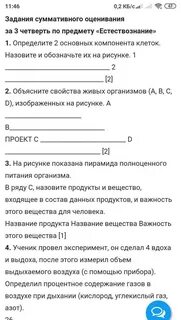 Естествознание 6 класс 3 четверть