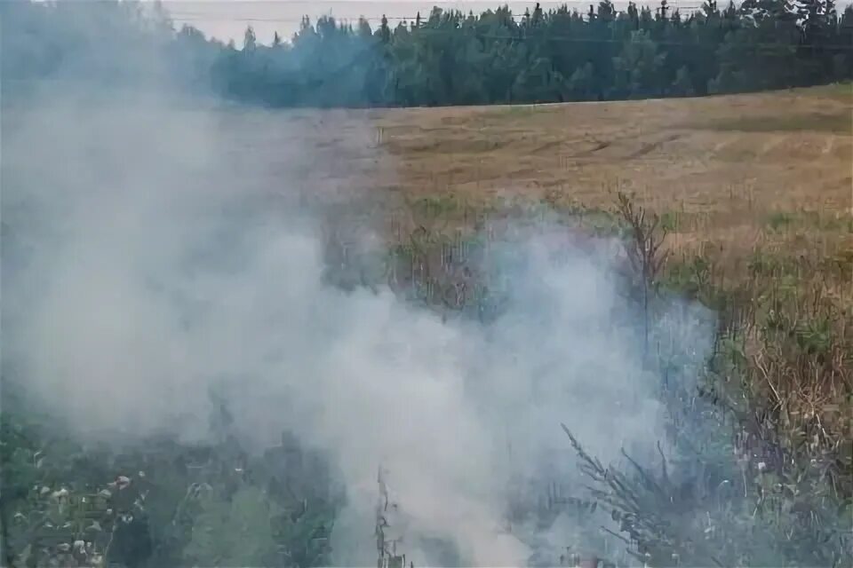 Гарь в гомеле