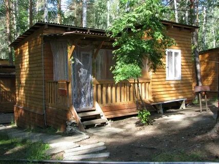 Зори увильды