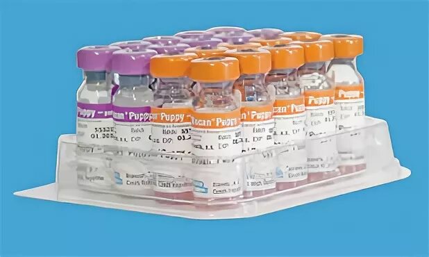 Вакцина для собак каниген. Вакцина Биокан DHPPI+LR. Прививки Биокан Puppy -p. Биокан вакцина для собак. Biocan вакцина для собак.