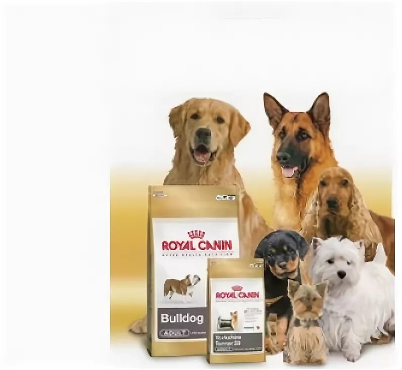 Royal Canin №1 наклейка. Ветеринарная аптека баннер. Купить корм для собак на авито