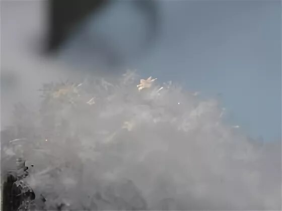 зима белый снег пушистый суриков. ночью был легкий мороз. ночью был легкий мороз диктант. легкий пушистый снег выпал ночью. белый снег пушистый предложение.