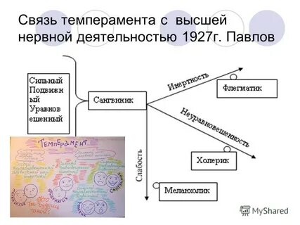 Связь темперамента