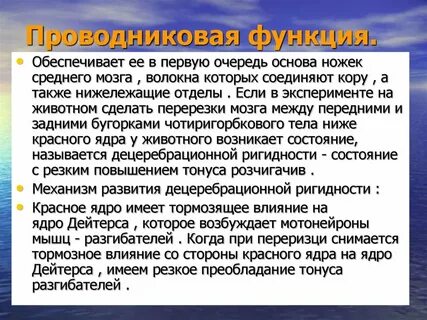 Проводниковая функция характерна для отдела головного мозга