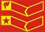 Лычка комиссара рсо. Лычка командира лсо. Лычка бойца рсо. Лычка комиссара отряда. Лычка комиссара рсо.