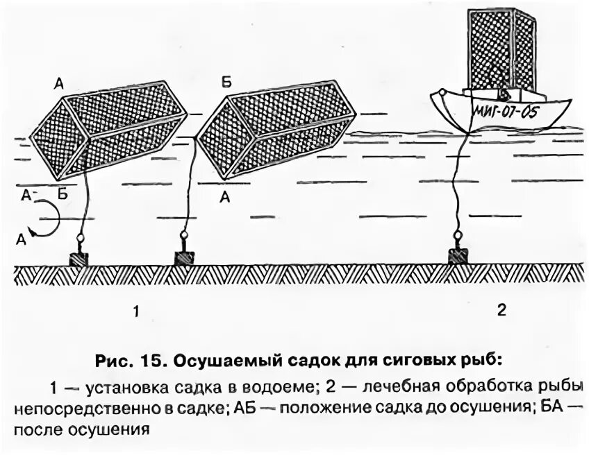 Где находится садки
