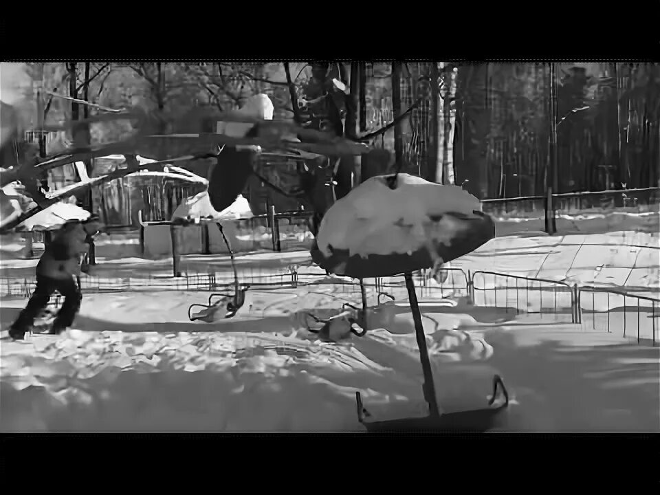 Гора соболиная байкальск канатная дорога. Парк отель в городе байкальск белый соболь. Парк в байкальске зимой. Байкальск гора летом вуки парк. Город байкальск достопримечательности.