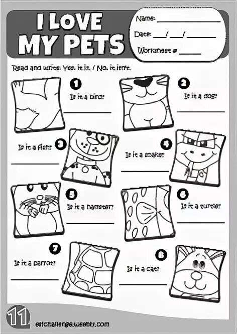 Упражнения английский my pet. My pet текст. My pets английский язык. Домашние питомцы worksheets. Pets на английском языке.