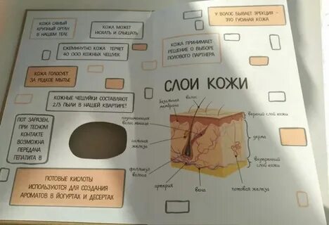 Кожа читать