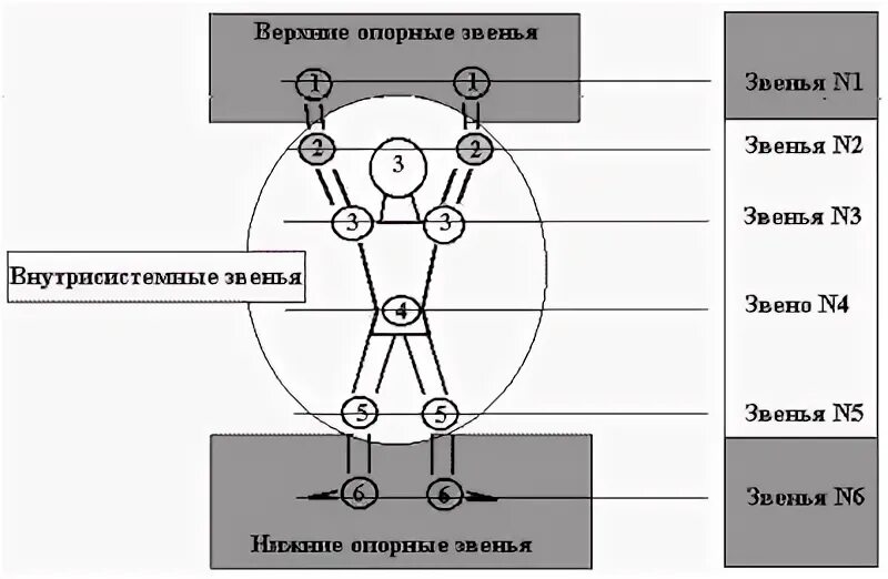 Опорное звено это. Звенья механизма. Втулка опорная заднего тормоза газ-3307 (газ) 49-3501112. Ациклическая стартовая сила. Цепь 20b-1.