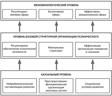 Структура психического развития