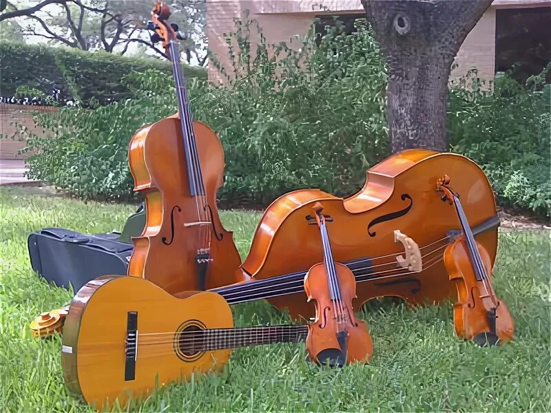 Контрабас инструмент. Трос контрабаса. Violin Viola Cello Double Bass. Воздушные шары путешествие виолончель гитара. Фамилия скрипка