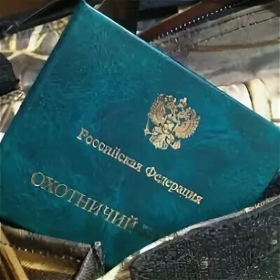 Вопросы охотничьего экзамена