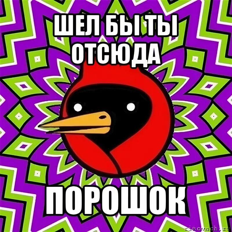 Шел бы ты отсюда порошок. Омская птица. Виргинский Кардинал Омская птица. Омская птичка Мем. Слышь отсюда