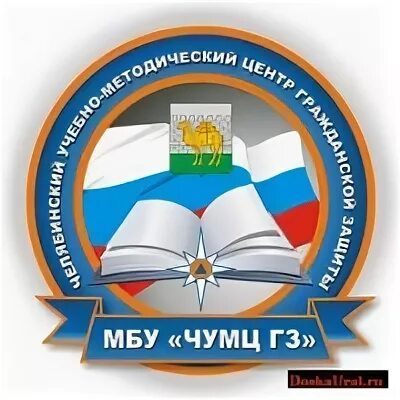 Бюджетное учреждение челябинской области