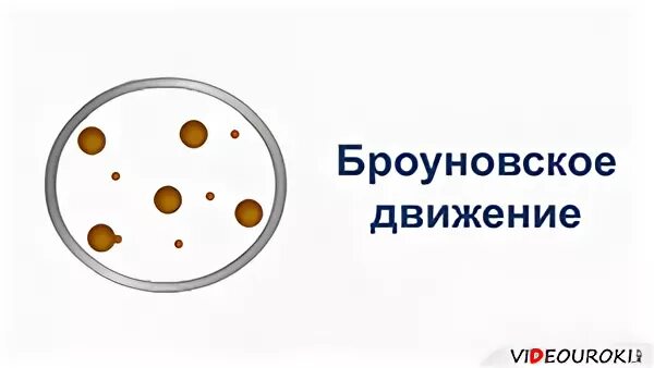 Броуновское движение 2010. Броуновское движение 2010