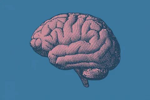 The second brain