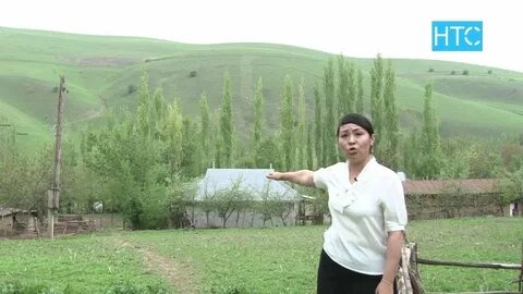 Погода тараны
