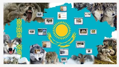 Көз жасын төгетін анальді фотолар