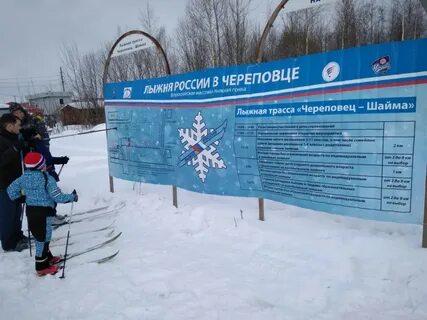 Здоровье череповец