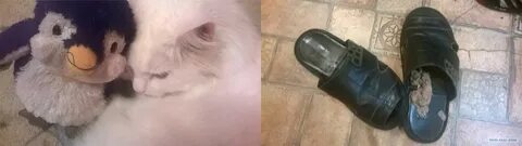 Каким тапком
