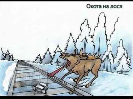 Анекдот про волка лося и охотника