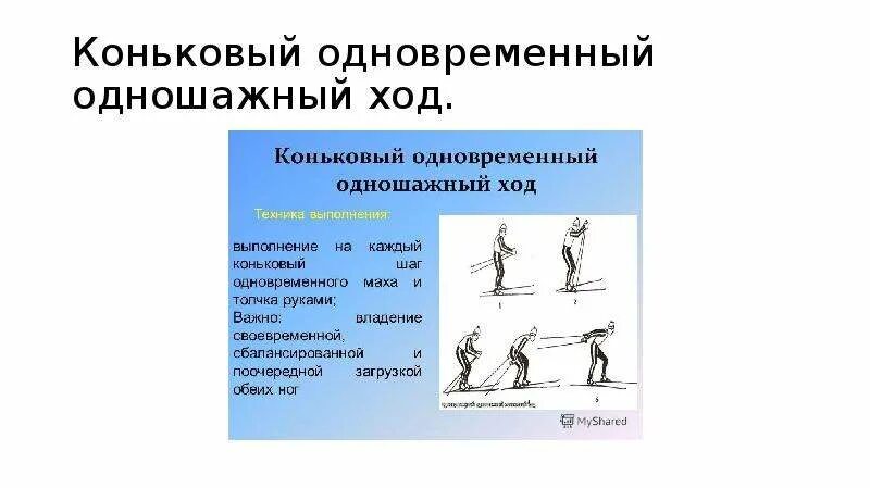Одновременный одношажный классический ход. Одновременный бесшажный лыжный ход. Техника выполнение одновременного одножашного ход. Одновременные ходы на лыжах реферат. Одновременный одношажный ход скоростной вариант.