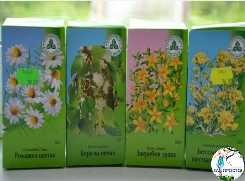 Трава бессмертник зверобой. Трава бессмертник зверобой. Ромашка бессмертник листья березы зверобой что за состав. Бессмертник песчаный цмин песчаный мордовия. Бессмертник барбарис.