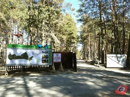 Как доехать до заельцовского парка