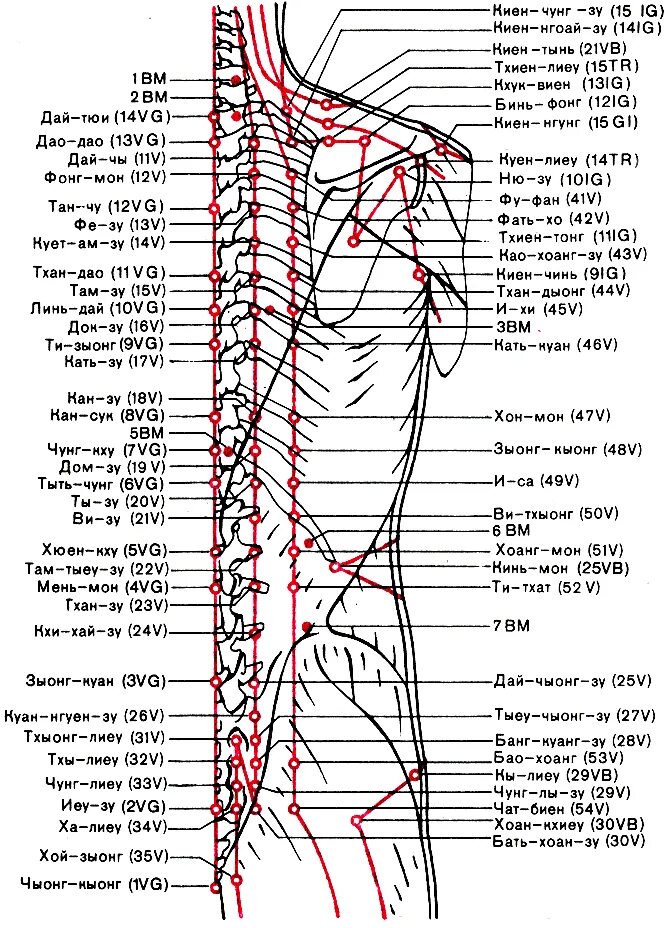Версия 3.5 точка. Точка vg4 схема расположение. Ig10 точка акупунктуры. VG 15 точка акупунктуры. Акупунктура точка vg1.