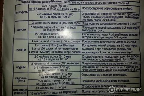 Фитоспорин можно поливать под корень
