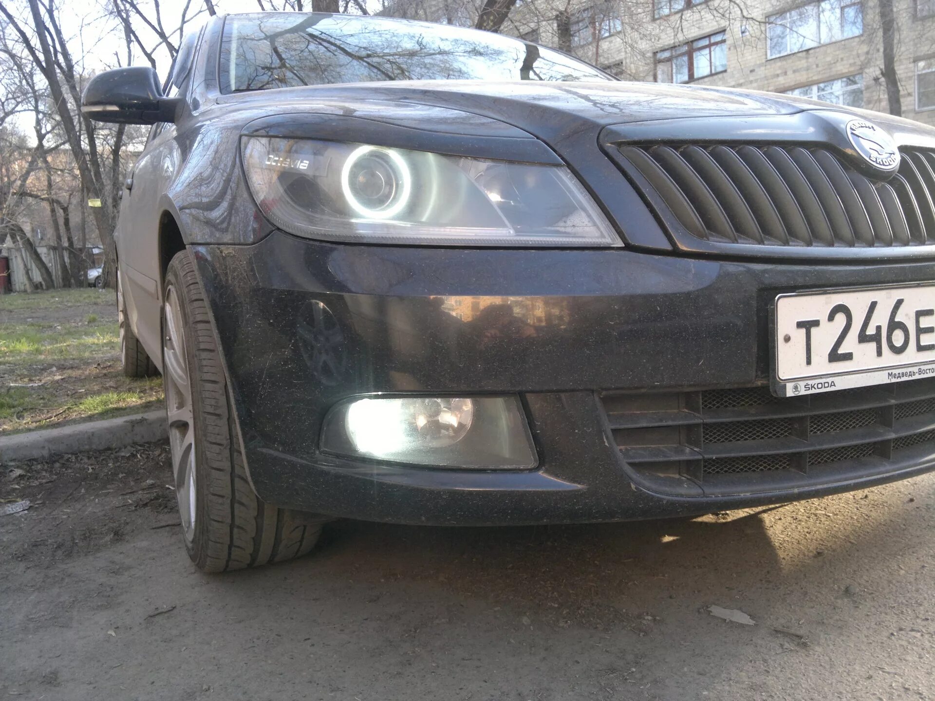 Противотуманные фары 5 Шкода а5. ПТФ Skoda Octavia a5.