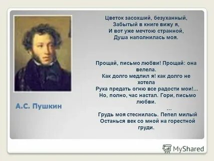 Жара пушкин