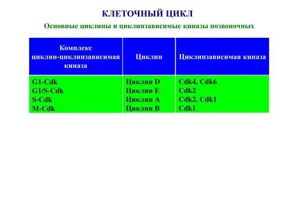 Стандартный цикл
