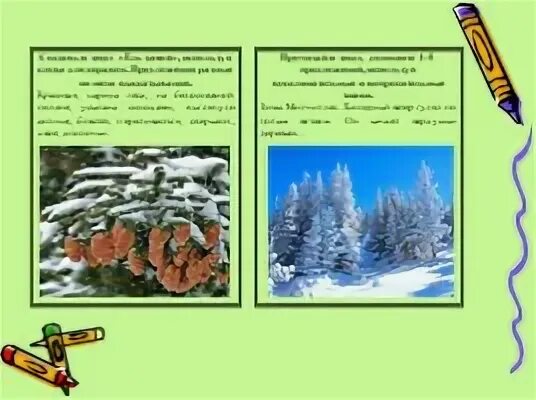 По зимнему молчит лес хлопья снега. Русский язык 7 класс ладыженская номер 295. По зимнему молчит лес разбор предложения. Упражнение 295 по русскому языку 6 класс. По зимнему молчит лес хлопья снега.