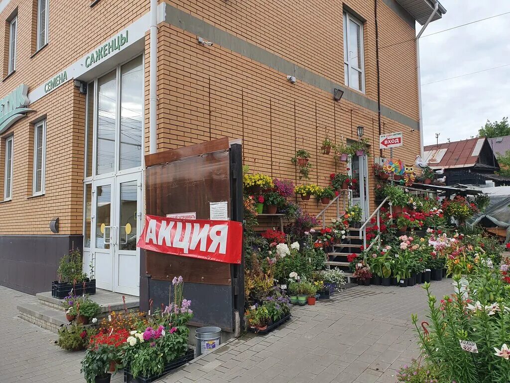 Луначарского 17 к 2 тула. Семицветик спб. Семицветик магазин. Семицветик воронеж. Семицветик тула.