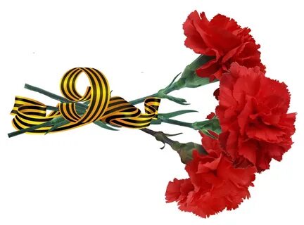 9 мая день победы на белом фоне