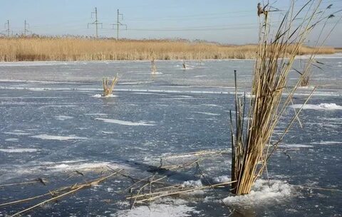 Замерзли ли водоемы