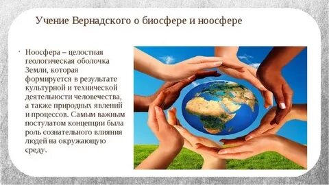 Ноосферная модель человеческой цивилизации основная роль