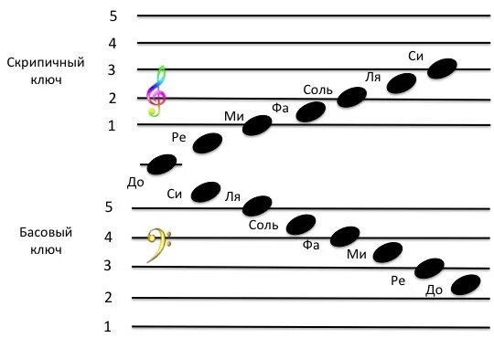 Ноты скрипичного ключа. Расположение нот на нотном стане в басовом Ключе и скрипичном Ключе. Как записываются Ноты басового ключа. Как выучить Ноты басового ключа. Ноты басового ключа на нотном стане для фортепиано для детей.