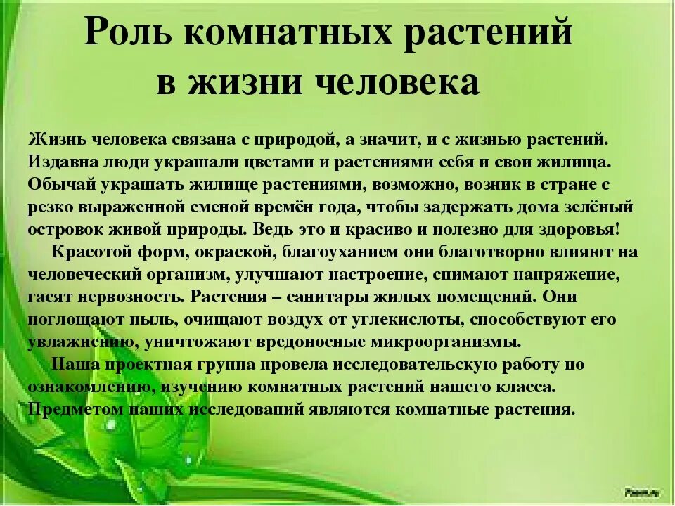 Какое значение для растения. Роль растений в жизни человека. Важность растений в жизни человека. Важность растений в природе. Комнатные цветы в жизни человека.