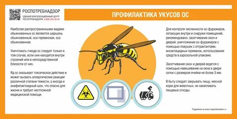 Сколько дней держится опухоль
