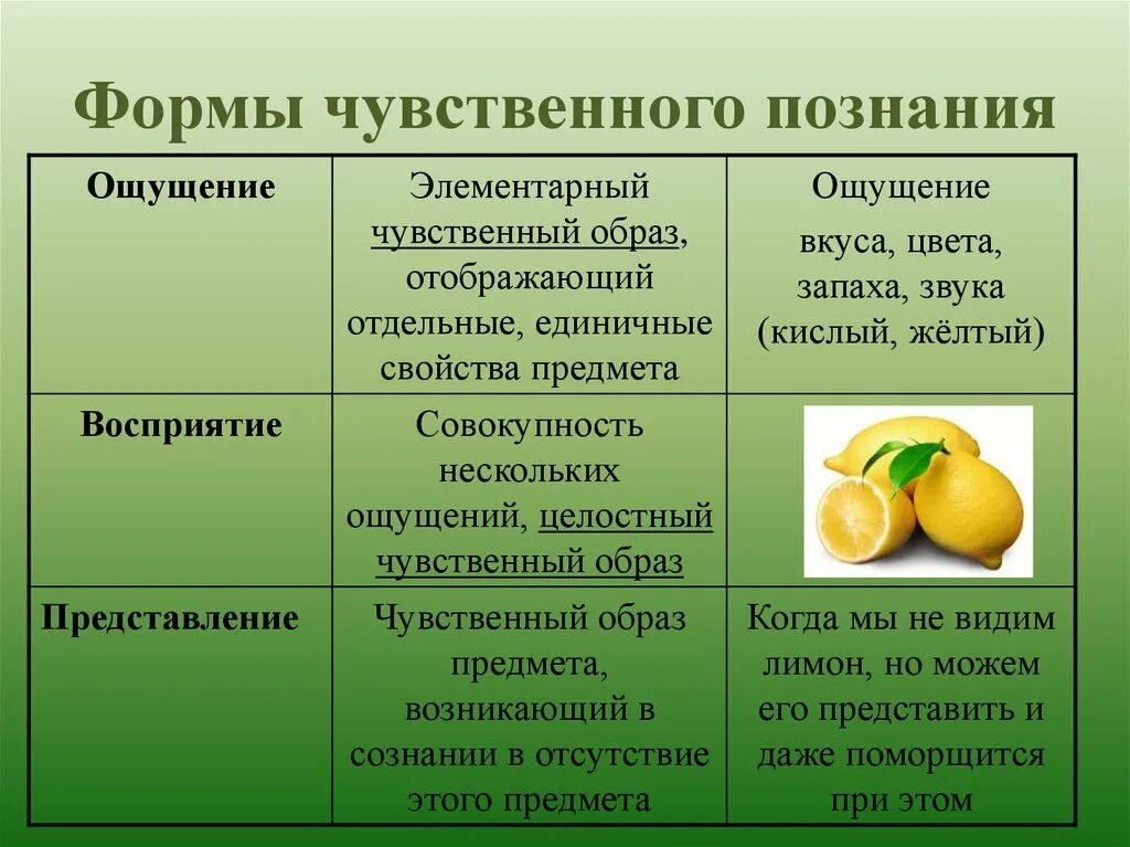 Чувственное познание ощущение восприятие представление. Чувственное познание и его формы. Формы чувственного познания примеры. 3 Формы чувственного познания.